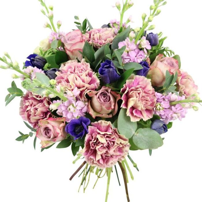 The image shows a lush, hand-tied bouquet resting against a pure white background, allowing every bloom and leaf to stand out with clarity. At the core are sumptuous garden roses in muted shades of blush, dusty mauve, and antique rose, their petals swirling inward in tight, romantic whorls. Surrounding them, abundant carnations add a generous fullness; their ruffled petals move from creamy ivory and soft blush at the centre to deeper rosy pinks and hints of fuchsia along the edges, creating a gentle ombré effect throughout the bouquet. Breaking through this soft palette are dramatic deep indigo flowers, shaped like closed tulip or anemone buds, and a single open royal blue anemone with a dark, almost black centre positioned near the lower front, giving the arrangement a captivating focal point. Slender stalks of lilac and pale lavender stock extend upward, peppered with many small blossoms that introduce lightness and a vertical flow, echoing the elegant lines of the Georgian terraces around Barnsbury. The flowers are interwoven with abundant foliage: rich, dark green leaves and rounded, silvery eucalyptus discs that offer both contrast and a suggestion of cool, aromatic freshness. The stems are clearly visible at the base, gathered tightly and cut cleanly, reflecting expert hand-tying of the kind often prepared for same-day delivery across Barnsbury and nearby Islington. The overall impression is of a sophisticated, modern romantic bouquet, suited for anniversaries, heartfelt birthdays, or a graceful gesture of support to someone living near Barnsbury Gardens.