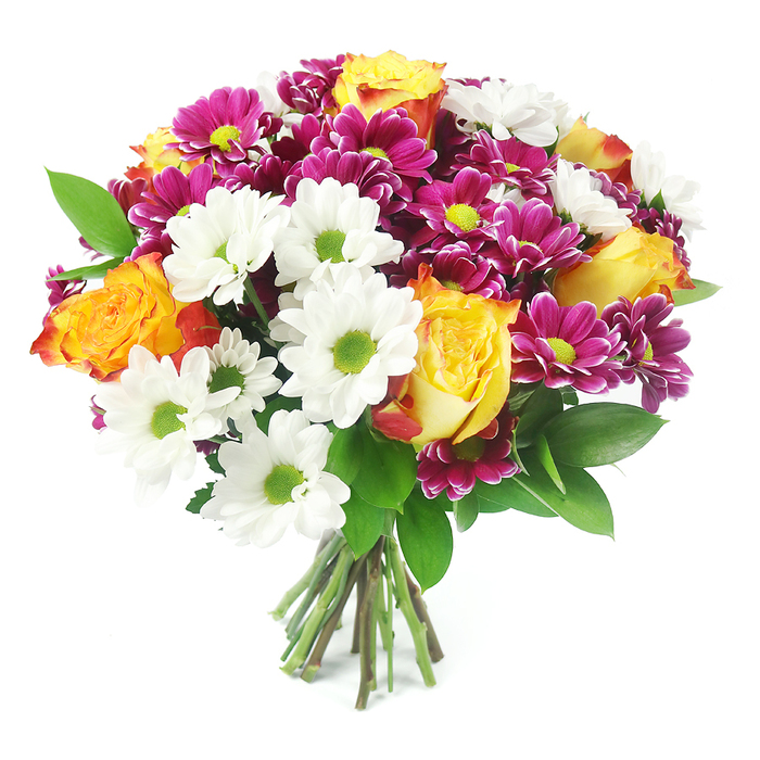 A vibrant, dome-shaped bouquet is photographed directly from the front against a bright white background, creating the impression that the flowers are almost floating towards the viewer. The arrangement is densely packed, every gap filled so that only the occasional dark green leaf shows through, giving the design a rich, full appearance. At the centre and scattered throughout are striking roses whose petals shift from sunny yellow at their tight cores to warm orange and faint reddish-pink at the outer edges, their velvety texture catching the light in gentle highlights and shadows. Nestled around them, numerous white daisy chrysanthemums lend an airy freshness, each with a clear lime-green centre that pops like tiny bursts of colour, reminiscent of the fresh greenery around Barnsbury's tree-lined streets. Deeper inside the bouquet sit clusters of magenta and fuchsia chrysanthemums, their many small petals creating a plush, cushion-like surface, punctuated by glowing yellow-green centres that harmonise with the daisy disks. Dark, glossy foliage, likely ruscus or a similar leaf, frames the blooms and adds structure, providing a rich contrast to the lighter petals and grounding the design in natural greens. At the bottom, a neat bundle of stems, in shades of light to medium green and brown, is clearly visible where the bouquet has been tightly hand-tied, suggesting it has just been finished in a Barnsbury florist's studio and is ready for local delivery. The soft, even lighting enhances every colour and contour without harsh shadows, evoking a feeling of cheerful celebration. This bouquet would sit beautifully on a dining table off Liverpool Road or brighten a workspace, sending a message of appreciation, congratulations, or simple kindness with its balanced mix of warm yellows, fiery oranges, clean whites, bold magentas, and vivid greens.